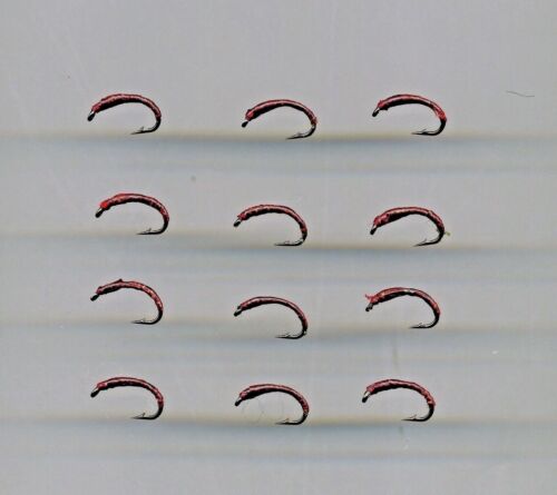 code 536 Trout Flies Bloodworm Epoxy Buzzers x 12 all size 14 