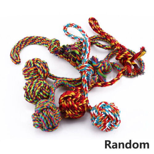 Lovely Puppy Dog Pet Chew Toy Cotton Braided Bone Rope Color Chew Knot