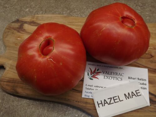 Gemüsesamen Hazel Mae Tomate Tomato 10+ Samen Saatgut Seeds 