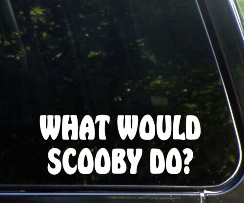BUMPER STICKER VINYL DECAL CDD-50022 WHAT WOULD SCOOBY DOO
