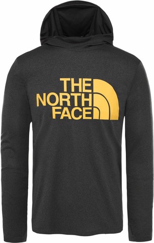 THE NORTH FACE 24//7 Big Logo T93YHFDY Training Laufhoodie Kapuzenpullover Herren