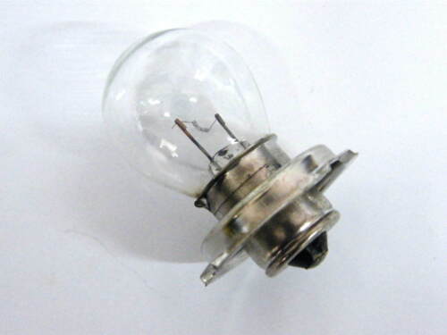 Glühlampe 12 V Volt 15 W Watt Sockel P26s Zweirad Roller Glühlampe Birne 
