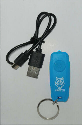 LED UV Wiederaufladbar 405nm Schlüsselring Mini Torch für Sicherheit Gitd