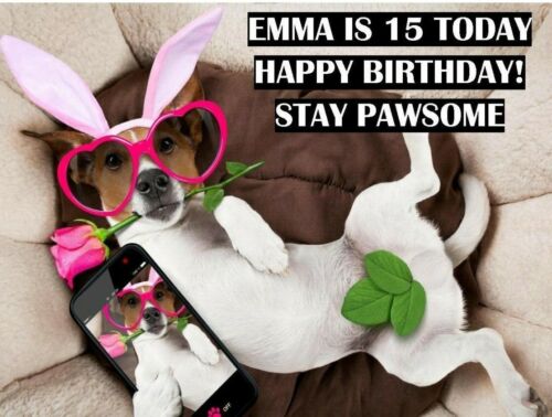 Details about  &nbsp;funny Personalised Jack Russel Birthday card for dog lovers any name, text a56