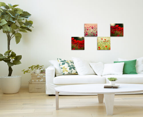 Wandbilder 4x30x30cm Leinwandbild auf Keilrahmen Mohnblumen Wiese Bilder Deko