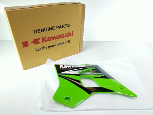 Kawasaki Left Side Engine Fairing Shroud Cover Panel 49089-5474-6W 