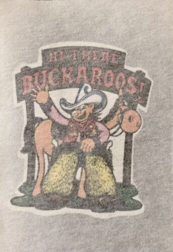 Details about   Original Vintage Hi There Buckaroos Cowboy Mini Iron On Pocket Size 