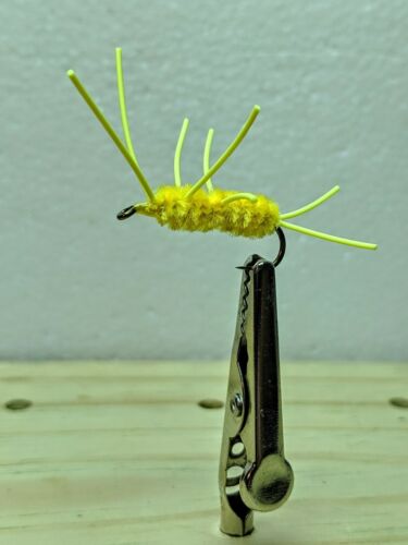 The Girdle Bug Yellow