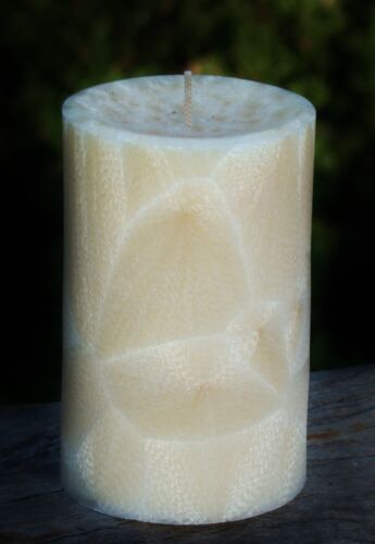 Healthy Cotton Wicks Gift Wrapped 200 hr EARTHY COLLECTION Plant Based CANDLE 