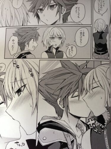 Kiss me baby Reparation KINGDOM HEARTS yaoi doujinshi Sora X Riku B5 32pages 