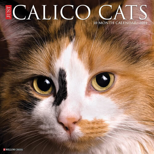 Willow Creek Just Calico Cats 2021 Wall Calendar 12"X12" 