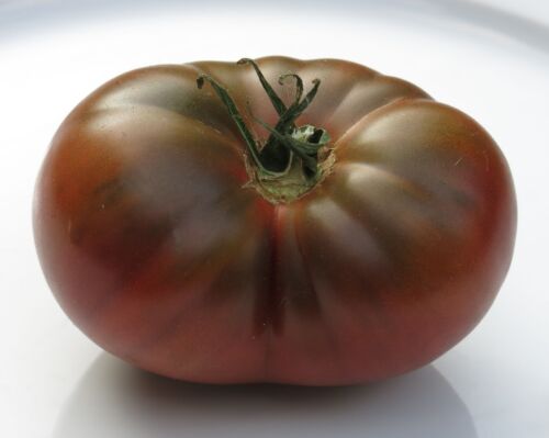 Seeds Giant Tomato Beefsteak Red Rainbow Black Vegetable Organic Heirloom