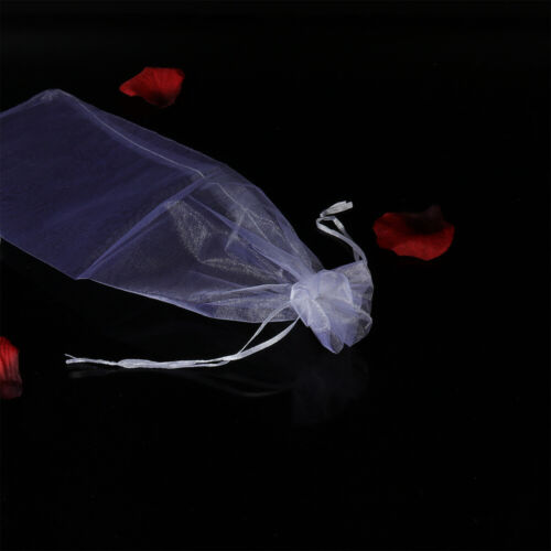 10pcs Sheer Organza Wine Bottle Gift Bags for Present Weddings Party