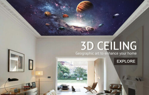 Details about   3D Rainbow Mushroom I170 Wallpaper Mural Sefl-adhesive Removable Sticker Wendy 