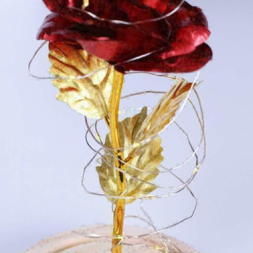 Die Schöne und das Biest Glühende ewige Blume Geburtstag Geschenk Rose im Glas