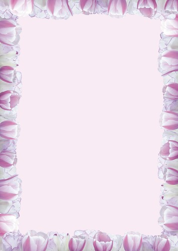rosa Tulpen Frühling Set Motivpapier Briefpapier 20 Blatt A4 10 Umschläge neu