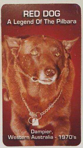 Magnet photo 1970's Original Red Dog 