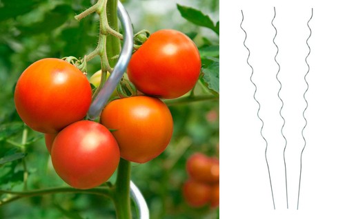 10x Tomatenspiralstab 150 cm Tomaten Spiralstab Rankspirale Pflanzstab Verzinkt