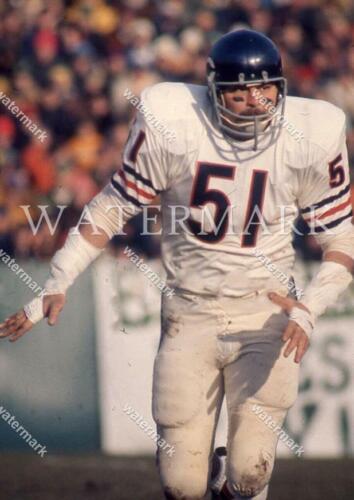 EQ308 Dick Butkus Action Chicago Bears Football 8x10 11x14 16x20 Photo