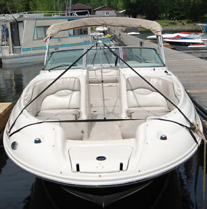 Boat Cover SUPPORT POLE System with straps to prevent ...