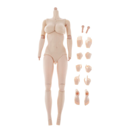 1//6 Super-Flexible Female Steel Body w// Hand Feet for   Kumik Hot Toys