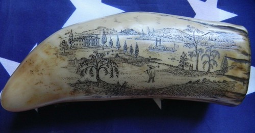 Imitación Scrimshaw /"Freedom /& Liberty/" Águila Americana y el palo Bailarina