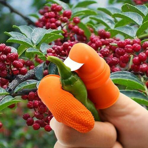 1 x Mini Thumb Cutter Separator Finger Picking Tool Garden Harvesting Plant 