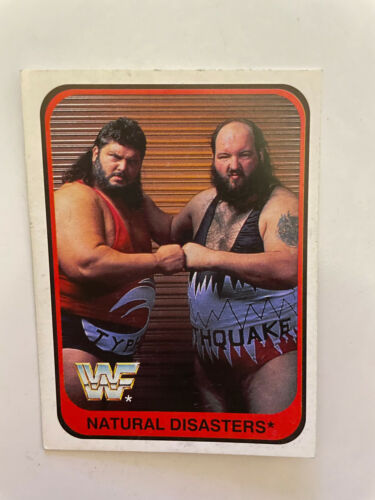 Merlin Trading Cards WWF Wrestling Karten 1991