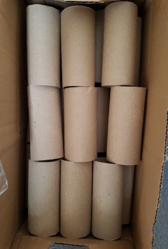 100 rollos de papel higiénico vacíos tubos de cartón para niños artes y artesanías o la jardinería 