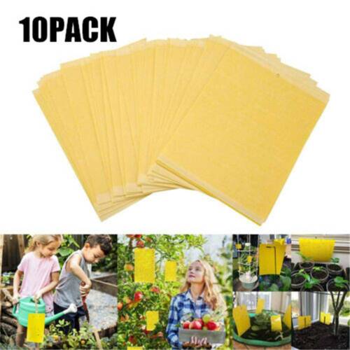 10Pcs Sticky Fly Trap Paper Yellow Traps Fruit Flies Insect Glue Catcher Wasp