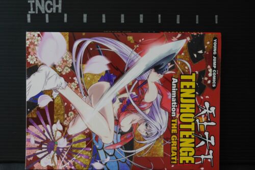 great JAPAN Oh guide book Tenjho Tenge Animation the Great! 