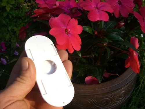 Beekeeping Plastic Porter Bee Escape