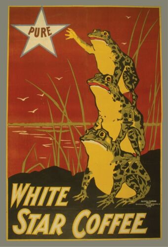 White Star Coffee Vintage Frog Advertising Poster Giclee Print Canvas or Paper