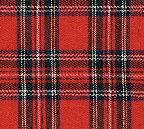 Adults Red//Blue Tartan 80s Punk Rocker Sid Vicious Fancy Dress Costume