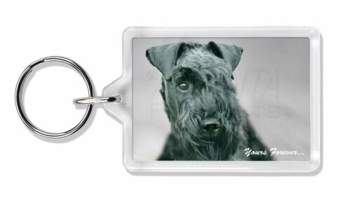 AD-KB1yK Kerry Blue Terrier /'Yours Forever/' Photo Keyring Animal Gift
