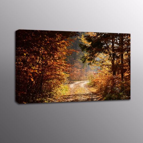 HD Canvas Prints Autumn Tree Road Landscape Wall Art Oil Painting Home Decor 