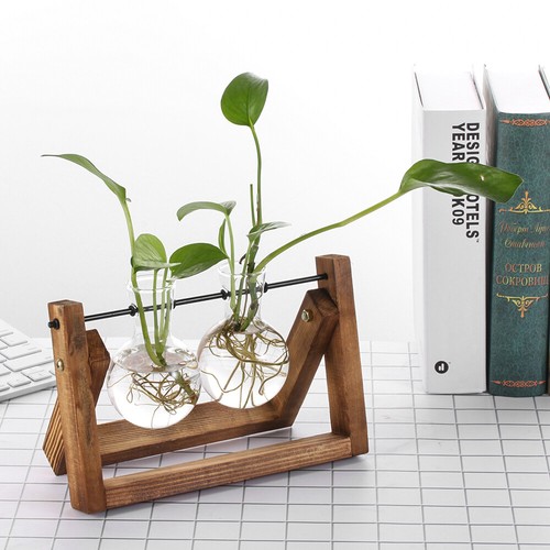 Tabletop Planter Flower Pot Wooden Frame Glass Vase Hydroponic Plant Vases