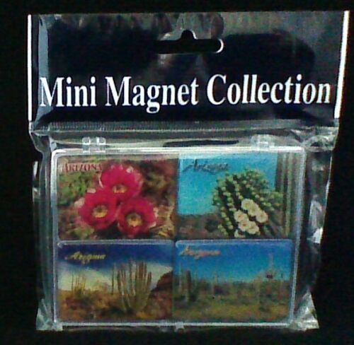 Arizona Mini Magnets Set of 4