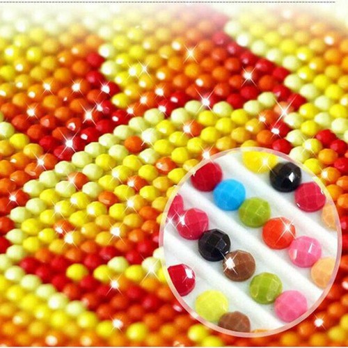 5D DIY Full Drill Diamond Painting Chicken Embroidery Cross Stitch Kit 35*45cm