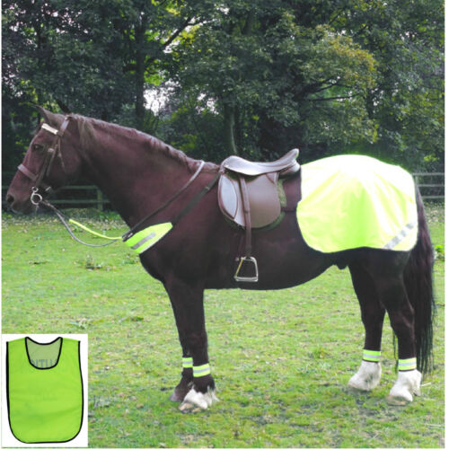 Fluorescent Horse Safety Set Quater Rug Leg Chest Bridle Straps Rider Vest Hat B