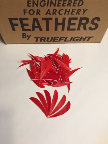 3” Red Right Wing Fletching Arrow Archery Feathers Parabolic Round 50 Pack 