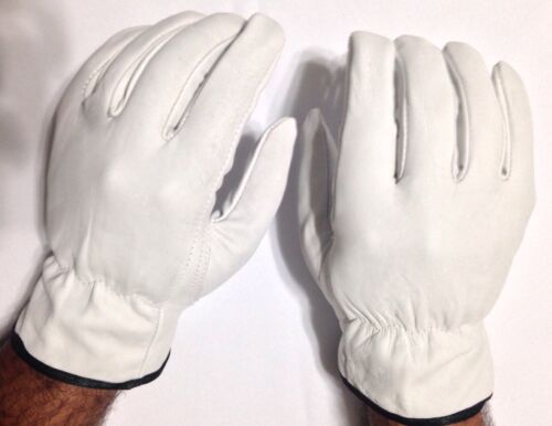 work safety gloves 10 Doz Case PPE Size M Goat Skin Grain Leather Drivers 