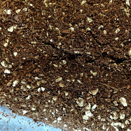 1kg sterilizzati Coco-Mix di cocco//vermiculite facoltativa MUCCA letame-BULK SUBSTRATO