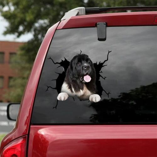 dogs decal Black Newfoundland agility Vinyl decal pet sti car window sticker 