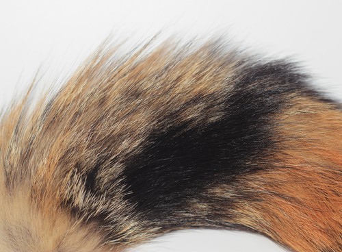 Fox Tail Fur Yellow Black Handbag Clip on Charm Accessory Key Chain Cosplay Toy