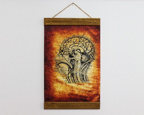 Human Brain Anatomy Illustration Neurology Doctor Wall Art Canvas 8.7/" x 11.8/"