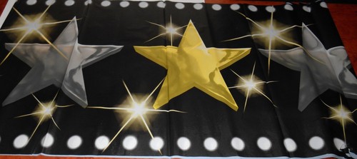 Red Carpet Hollywood Wall Decorations 2 Room Rolls 1 Border Roll 1 Scene Setter