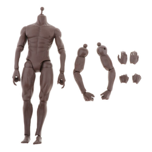 1//6 Scale Male Figure Skeleton Muscular Body Doll Toys For 12/"  Sculpt