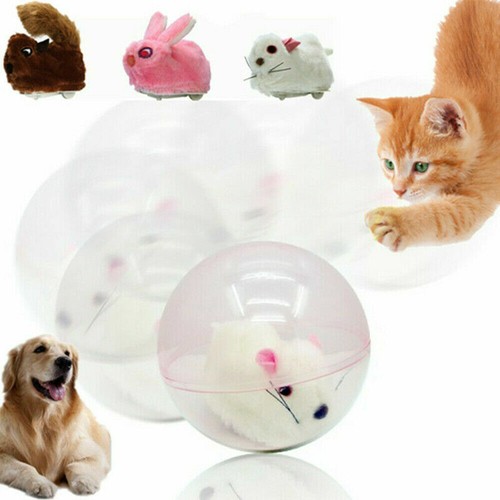 Milo Activation Animal Ball Funny Ball For Pet Cat Dog Stress Relief Toy
