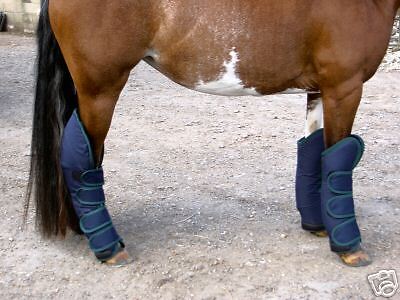 GEE tac tapis cheval monté Rembourré Voyage boot feuille poney toutes tailles